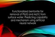 Functionalized bentonite for removal of Pb(II) and As(V) from surface water: Predicting capability and mechanism using artificial neural network